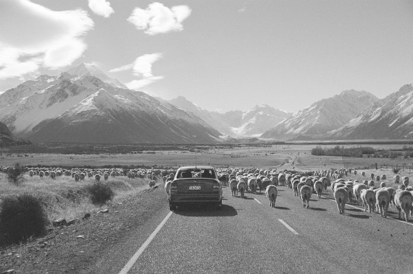 new zealand